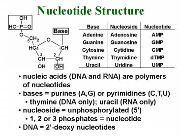 nucleic acids DNA and RNA are polymers of nucleotides