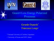 Geant4 Low Energy Polarized Processes