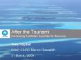After the Tsunami Harnessing Australian Expertise for Recovery PowerPoint PPT Presentation