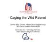 Caging the Wild Resnet PowerPoint PPT Presentation