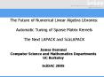 The Future of Numerical Linear Algebra Libraries:  Automatic Tuning of Sparse Matrix Kernels The Next LAPACK and ScaLAPACK PowerPoint PPT Presentation
