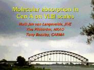 Molecular absorption in Cen A on VLBI scales