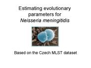 Estimating evolutionary parameters for Neisseria meningitidis