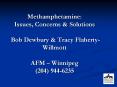Methamphetamine: Issues, Concerns PowerPoint PPT Presentation