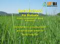 SWITCHGRASS For Biofuels by Ken J' Goddard and Jon Walton UT Extension PowerPoint PPT Presentation