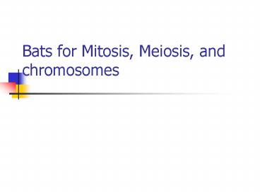 Bats for Mitosis, Meiosis, and chromosomes