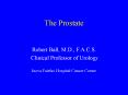 The Prostate PowerPoint PPT Presentation
