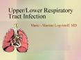 UpperLower Respiratory Tract Infection PowerPoint PPT Presentation