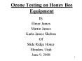 Ozone Testing on Honey Bee Equipment PowerPoint PPT Presentation