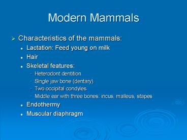 Modern Mammals