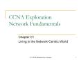 CCNA Exploration Network Fundamentals PowerPoint PPT Presentation