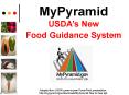 MyPyramid USDAs New Food Guidance System PowerPoint PPT Presentation