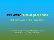 Dark Matter halos at galaxy scale