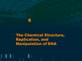 The Chemical Structure, Replication, and Manipulation of DNA PowerPoint PPT Presentation