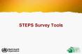 STEPS Survey Tools PowerPoint PPT Presentation