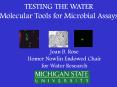 TESTING THE WATER PowerPoint PPT Presentation