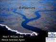 Estuaries PowerPoint PPT Presentation