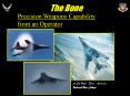 The Bone PowerPoint PPT Presentation