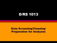 D/RS 1013