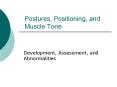 Postures, Positioning, and Muscle Tone PowerPoint PPT Presentation