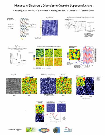 Nanoscale Electronic Disorder in Cuprate Superconductors