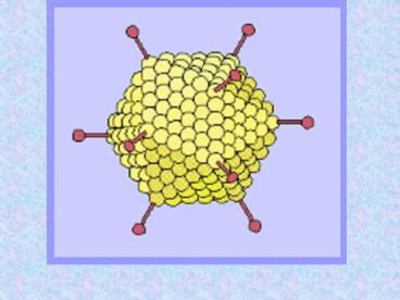 Viruses and Monerans