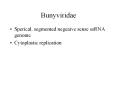 Bunyviridae PowerPoint PPT Presentation