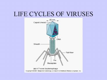 LIFE CYCLES OF VIRUSES