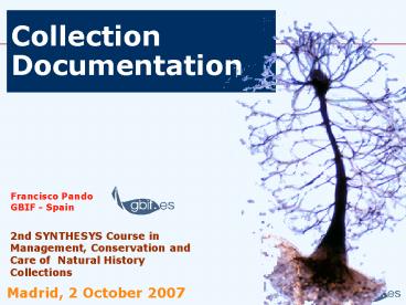 presentation player overlay