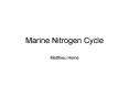 Marine Nitrogen Cycle PowerPoint PPT Presentation