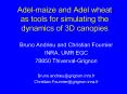 Adel-maize and Adel wheat as tools for simulating the dynamics of 3D canopies PowerPoint PPT Presentation