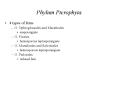 Biology of Plants PowerPoint PPT Presentation