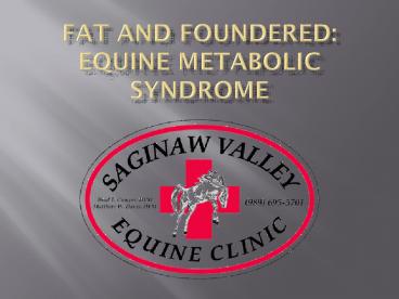 Fat and Foundered: Equine Metabolic Syndrome