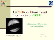 The MERcury Intense Target Experiment or nTOF11