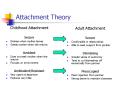 Attachment Theory PowerPoint PPT Presentation