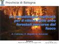 La metodologia applicata per il rilievo delle aree forestali percorse dal fuoco PowerPoint PPT Presentation