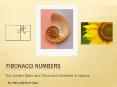 Fibonacci numbers PowerPoint PPT Presentation