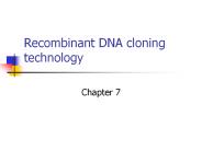 Recombinant%20DNA%20cloning%20technology