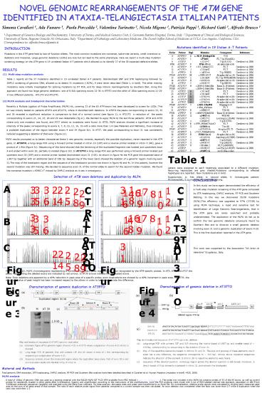 PowerPoint Presentation Presentazione di PowerPoint