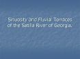 Sinuosity and Fluvial Terraces of the Satilla River of Georgia' PowerPoint PPT Presentation