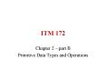 ITM 172 PowerPoint PPT Presentation