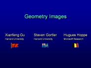 Geometry Images