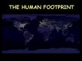 THE HUMAN FOOTPRINT PowerPoint PPT Presentation