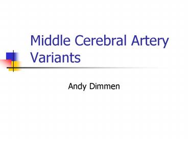 Middle Cerebral Artery Variants
