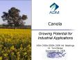 Canola PowerPoint PPT Presentation