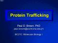 Protein Trafficking PowerPoint PPT Presentation
