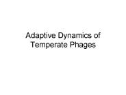 Adaptive Dynamics of Temperate Phages