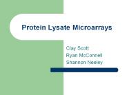Protein Lysate Microarrays
