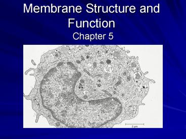 presentation player overlay