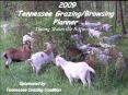 2009 Tennessee GrazingBrowsing Planner Timing Makes the Difference PowerPoint PPT Presentation